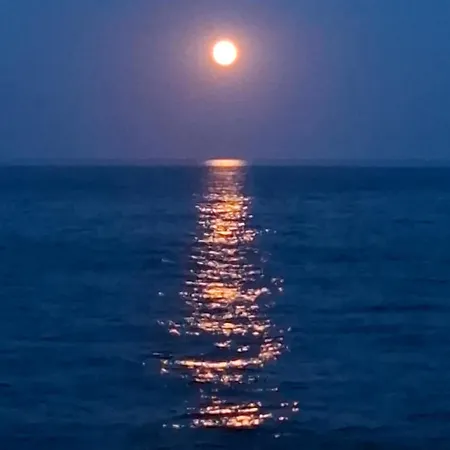 Cote مكان تخييم *