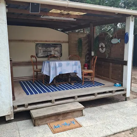 Cote مكان تخييم *